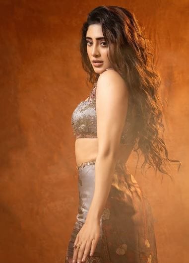 परंतु त्याला भेटण्याची माझी कधी हिंमतच झाली नाही. शाळा बुडवून त्याल भेटायला जाण्याचे धाडस मी करू शकले नाही. मी त्याच्यासाठी ट्यूशन बुडवले होते. ही बाब घरी समजल्यावर माझ्या आईने मला खूप मार दिला, अशी आठवण तिने सांगितली आहे.