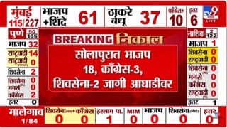 सोलापूरमध्ये भाजप 18, काँग्रेस 3, शिवसेना 2 जागी आघाडीवर