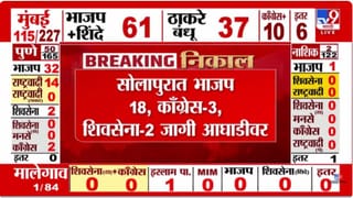 सोलापूरमध्ये भाजप 18, काँग्रेस 3, शिवसेना 2 जागी आघाडीवर