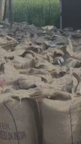 सोयाबीन उत्पादक शेतकऱ्यांची नाफेडकडे पाठ, खासगी विक्री केंद्रावर गर्दी