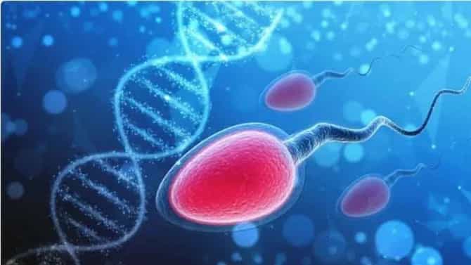 जगभरातील महिलांना का हवेत याच देशातील स्पर्म डोनर? निर्यातीचे सर्व विक्रम मोडले, एक जण तर 197 मुलांचा बाप