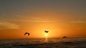 सूर्यास्तानंतर या चूक टाळा, अन्यथा घरात गरीबी आलीच म्हणून समजा.