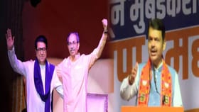 मी टोपी फेकली, राऊतांनी दोघांच्या डोक्यात घातली... फडणवीसांचा हल्लाबोल.