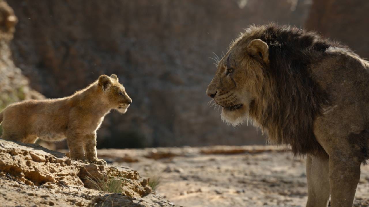 अवघ्या 14 दिवसांत 'अवतार: फायर अँड ॲश'ने डिस्नेच्या 2019 च्या 'द लायन किंग' या चित्रपटाच्या लाइफटाइम कलेक्शनला मागे टाकलं आहे. शाहरुख खान आणि आर्यन खान यांच्या आवाजात डब केलेल्या या चित्रपटाने 151.10 कोटी रुपयांची कमाई केली होती. 
