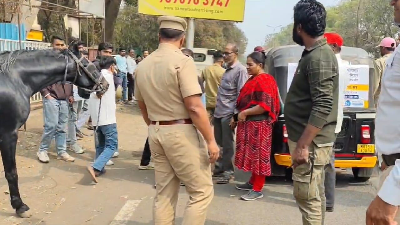 या प्रकरणाचा शोध नाशिकच्या मंगलरूप गोशाळा टीमकडून गेल्या चार दिवसांपासून सुरू होता. अखेर एबीपी सर्कल परिसरात संबंधित संशयित सापडून आले.