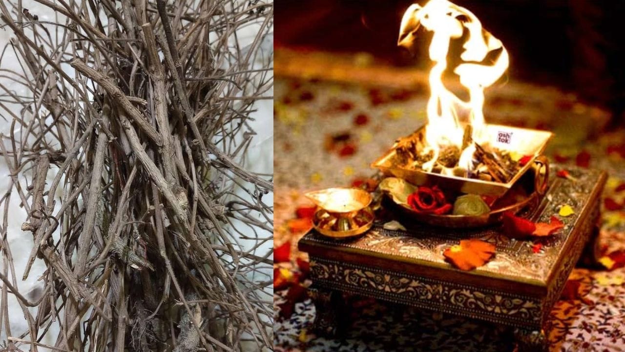 वाळलेल्या तुळशीच्या लाकडाचा वापर हवनामध्ये करणे अत्यंत शुभ मानले जाते. तुळशीचे लाकूड जाळल्याने निघणारा सुगंध घरात सकारात्मक ऊर्जा पसरवतो. तसेच, यातील अँटी-बॅक्टेरियल गुणांमुळे वातावरणातील जंतू नष्ट होण्यास मदत होते. तुम्ही हे लाकूड चंदनाप्रमाणे घासून त्याचा टिळा देखील लावू शकता.