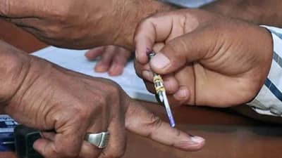 Maharashtra Election 2026 Voting :  आज दारू मिळेल की नाही? बँका सुरू राहिल का? आज काय काय राहणार सुरू? संपूर्ण यादी एका क्लिकवर