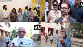 राज ठाकरे, आमिर खान ते मोहन आगाशे...निवडणुकीत कोणी केलं मतदान ?.