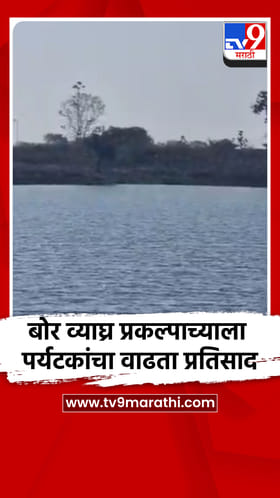 बोर व्याघ्र प्रकल्पाच्या सफारी गेटला पर्यटकांचा वाढता प्रतिसाद