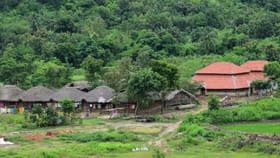 घनदाट जंगलात वसलय गाव, पुरुषांना नो एन्ट्री, महिला करतात ही कामं.