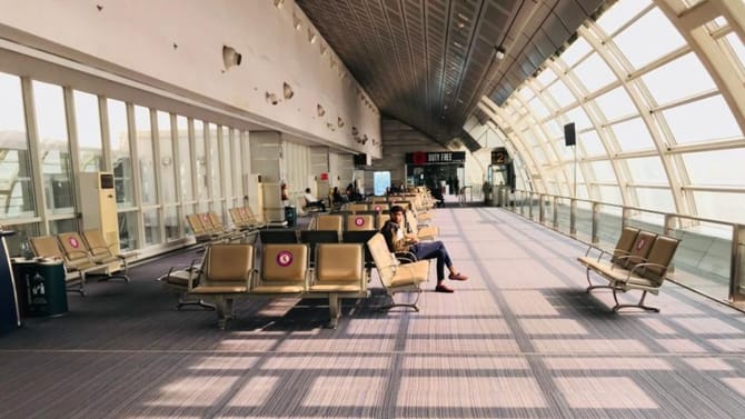 विमानतळावर महिला प्रवाशावर कुत्र्याचा हल्ला,उडाला गोंधळ, जखमी...