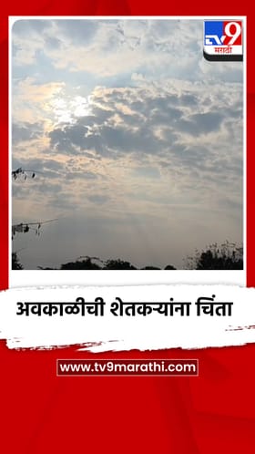 अवकाळी पावसाच्या शक्यतेमुळे शेतकरी चिंतेत.