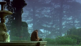 बॉलिवूडचा पहिला चित्रपट, ज्याचा तुर्किमध्ये बनला रिमेक, मिळाले57अवॉर्ड.