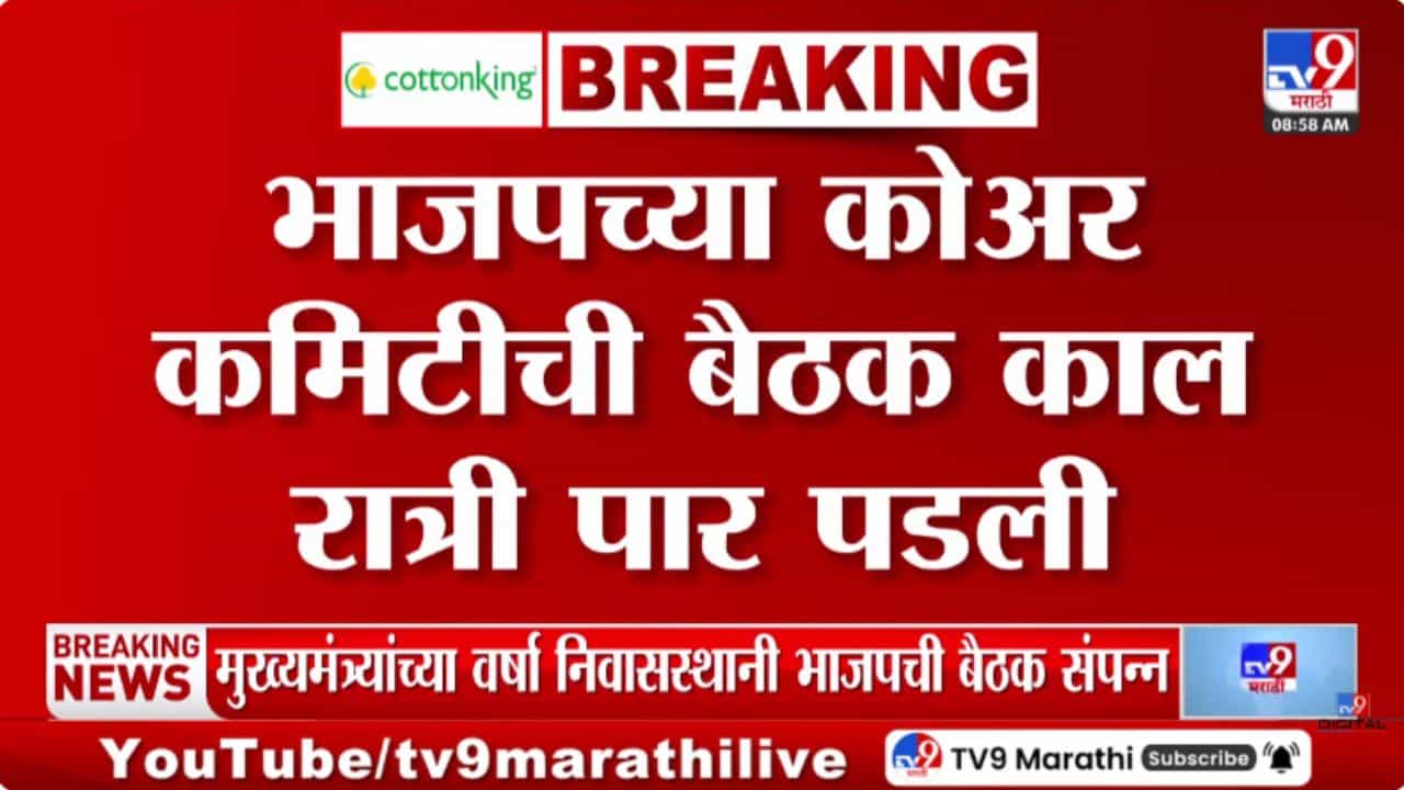 भाजपा 28 फेब्रुवारीपर्यंत राज्यसभेची नावं जाहीर करणार?