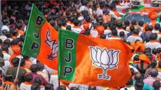 Zilla Parishad Election Result 2026 : एका मताने पलटली बाजी; भाजप उमेदवाराला मोठा धक्का!