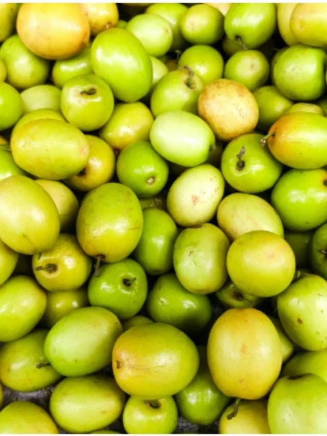 या दिवशी भगवान शिवाला बोर फळ अर्पण केले जाते