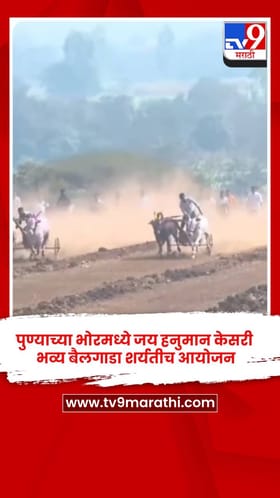 पुण्याच्या भोरमध्ये जय हनुमान केसरी भव्य बैलगाडा शर्यतीच आयोजन.