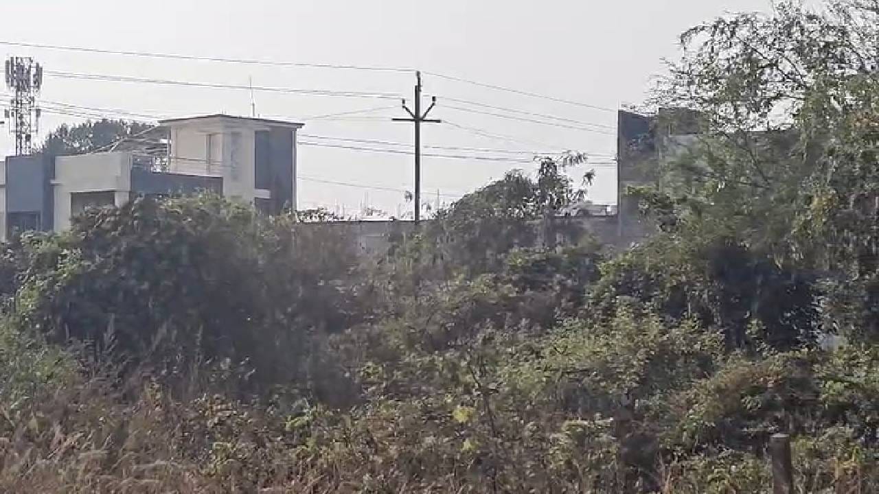 गडचिरोली जिल्ह्यात बिबट्या आणि तरस या दोन वन्य प्राण्यांची दहशतीत नागरिक