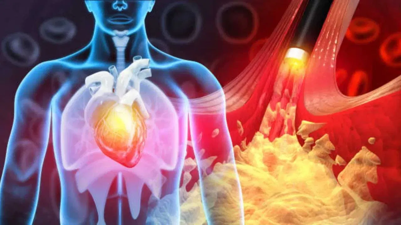 कोलेस्ट्रॉल आपल्या शरीरासाठी आवश्यक असते. परंतु त्याची जास्त मात्रा गंभीर समस्या निर्माण करू शकते. पण हे वाढलेले कोलेस्ट्रॉल कमी करण्यासाठी प्रचंड मेहनत घ्यावी लागते. मात्र, बाजारात येणारी एक भाजी नियमीत खाल्ल्याने कोलेस्ट्रॉल योग्य प्रमाणात कमी होते.