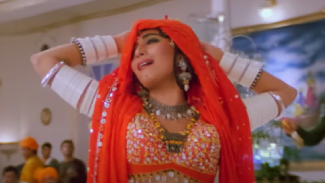 त्यांनी सांगितले की, हे गाणे प्रत्यक्षात राजस्थानातील पारंपरिक लोकगीताच्या धर्तीवर आधारित आहे आणि त्याचा अर्थ अश्लील नसून प्रतीकात्मक आहे असं त्यांनी स्पष्ट केले. वाद, टीका आणि बंदी यांचा सामना करूनही ‘चोली के पीछे क्या है’ हे गाणे प्रचंड गाजले.