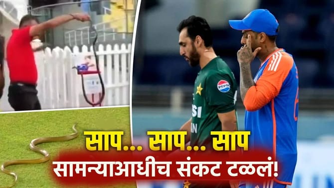 IND vs PAK: कोलंबोच्या मैदानात पुन्हा एकदा साप घुसला, सामन्याआधीच...