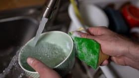 भांडी घासण्याचा स्क्रबर किती दिवस वापरावा? 21 दिवसांचा नियम काय सांगतो.