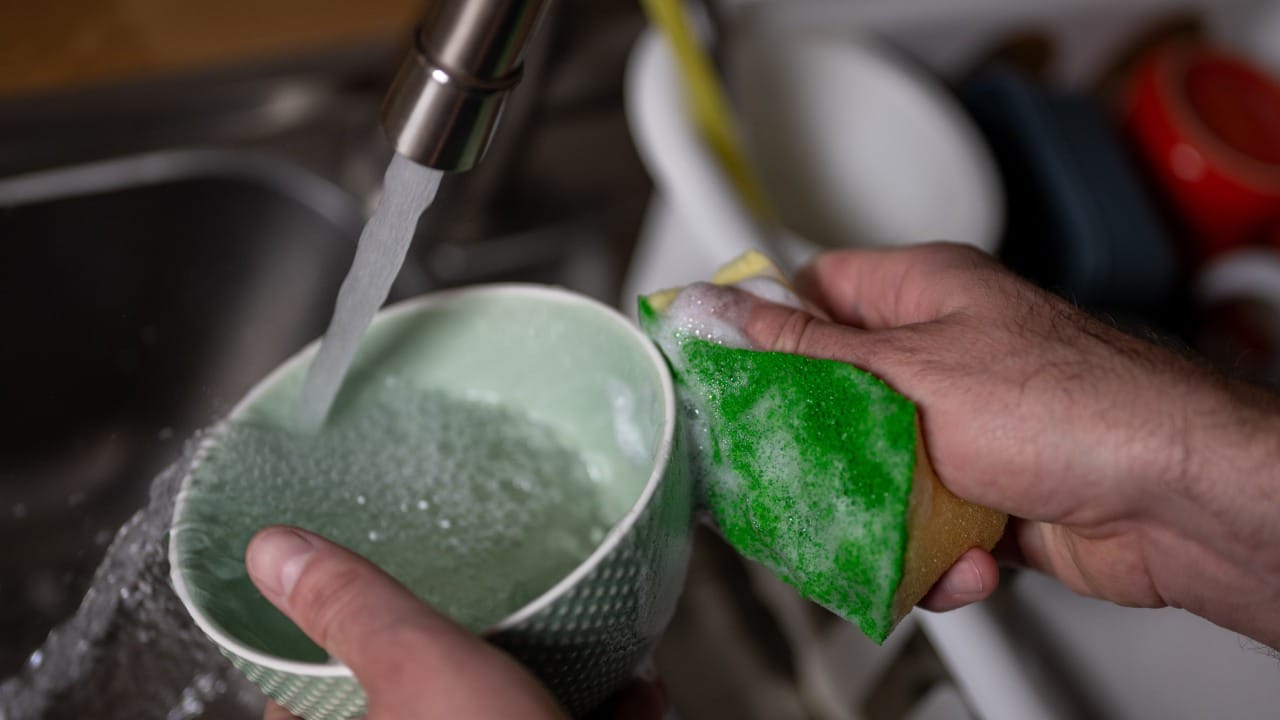 तसेच दूध किंवा मांसाहारी पदार्थांची भांडी घासण्यासाठी वेगळा स्क्रबर वापरणे अधिक सुरक्षित ठरते. किचनमधील छोटीशी दिसणारा हा स्क्रबर मोठ्या आजारांना निमंत्रण देऊ शकतो. त्यामुळे दर १५-२० दिवसांनी नवा स्क्रबर वापरण्याची सवय लावून घ्या.