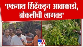 एकनाथ शिंदे 2 दिवसांपासून विश्रांतीसाठी दरे गावात