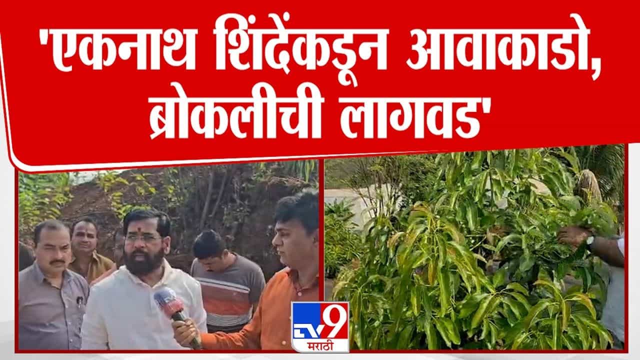 एकनाथ शिंदे 2 दिवसांपासून विश्रांतीसाठी दरे गावात एकनाथ शिंदे 2 दिवसांपासून विश्रांतीसाठी दरे गावात