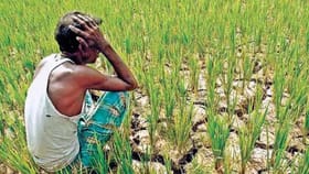 जगाचा पोशिंदा खचला, या जिल्ह्यात 22 शेतकऱ्यांनी संपवलं जीवन.