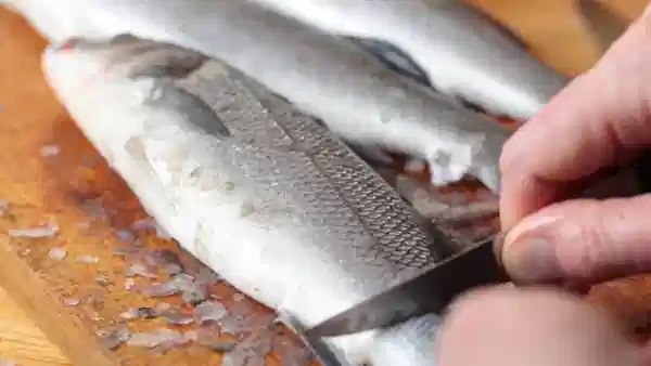 माशांचा दुर्गंध घरभर पसरलाय? या सोप्या टिप्स वापरून करा स्वच्छ