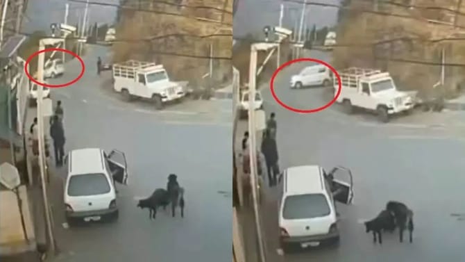 Viral Video: पत्नी पती सोबत कारसह दरीत कोसळली, ड्रायव्हिंग शिकताना....