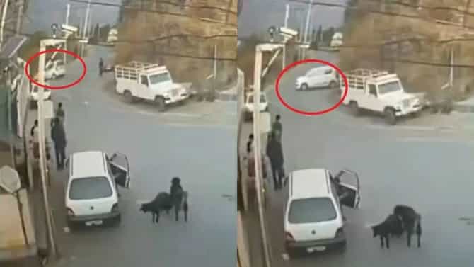 Viral Video: पत्नी पतीसोबत कारसह दरीत कोसळली, ड्रायव्हिंग शिकताना भयानक अपघात