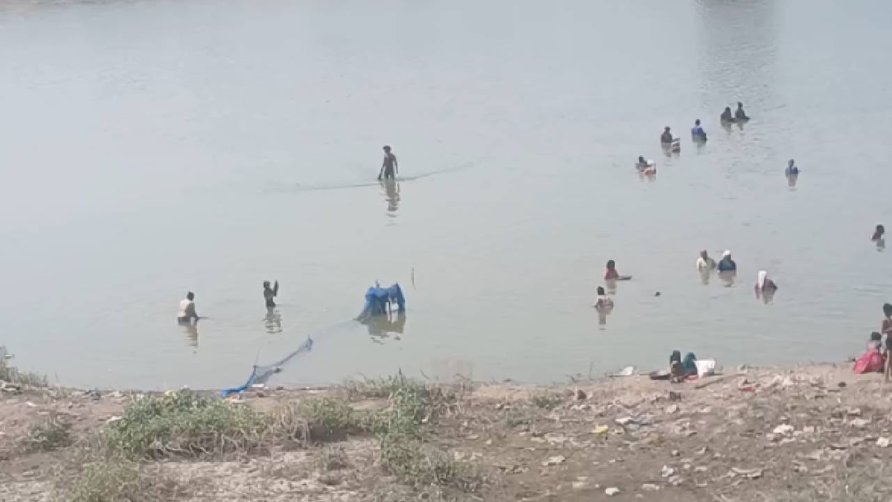 नाथषष्ठी उत्सवाच्या पार्श्वभूमीवर गोदावरी नदीच्या पात्रातील पाणी कमी करण्यात आले आहे. पाणी ओसरल्यामुळे नदीचे विस्तीर्ण पात्र उघडे पडले असून, या गाळामध्ये सोने शोधण्यासाठी शेकडो नागरिकांची एकच गर्दी उसळली आहे. हातात चाळण्या, टोपल्या आणि आशेने भरलेल्या नजरा घेऊन आबालवृद्ध नदीपात्रात नशीब आजमावताना दिसत आहेत.