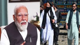 भारत अफगाणिस्तानकडून कोणत्या वस्तूंची आयात करतो?.