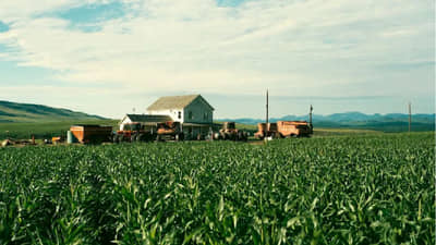 1500 कोटी बजेट अन् कमाई 6200 कोटी, सीनसाठी 500 एकरामध्ये लावली मक्का, चित्रपट ठरला मेगा ब्लॉकबस्टर