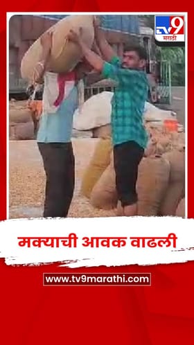 जळगाव - मक्याची आवक वाढली शेतकऱ्यांमध्ये समाधानाचं वातावरण.