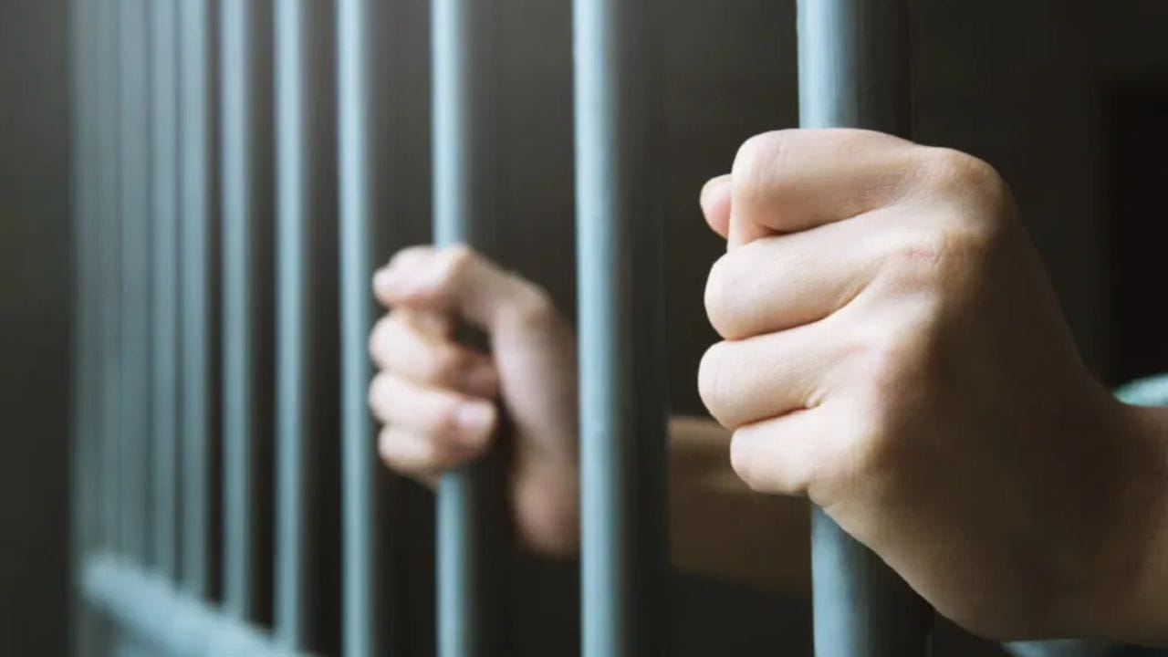 कमी बोली लावणारे कंत्राटदार: अनेकदा अन्न पुरवठा करणारी कंत्राटे कमीत कमी बोली लावणाऱ्या ठेकेदारांना दिली जातात. नफा मिळवण्यासाठी हे ठेकेदार निकृष्ट दर्जाचे धान्य किंवा भाज्या वापरतात.  