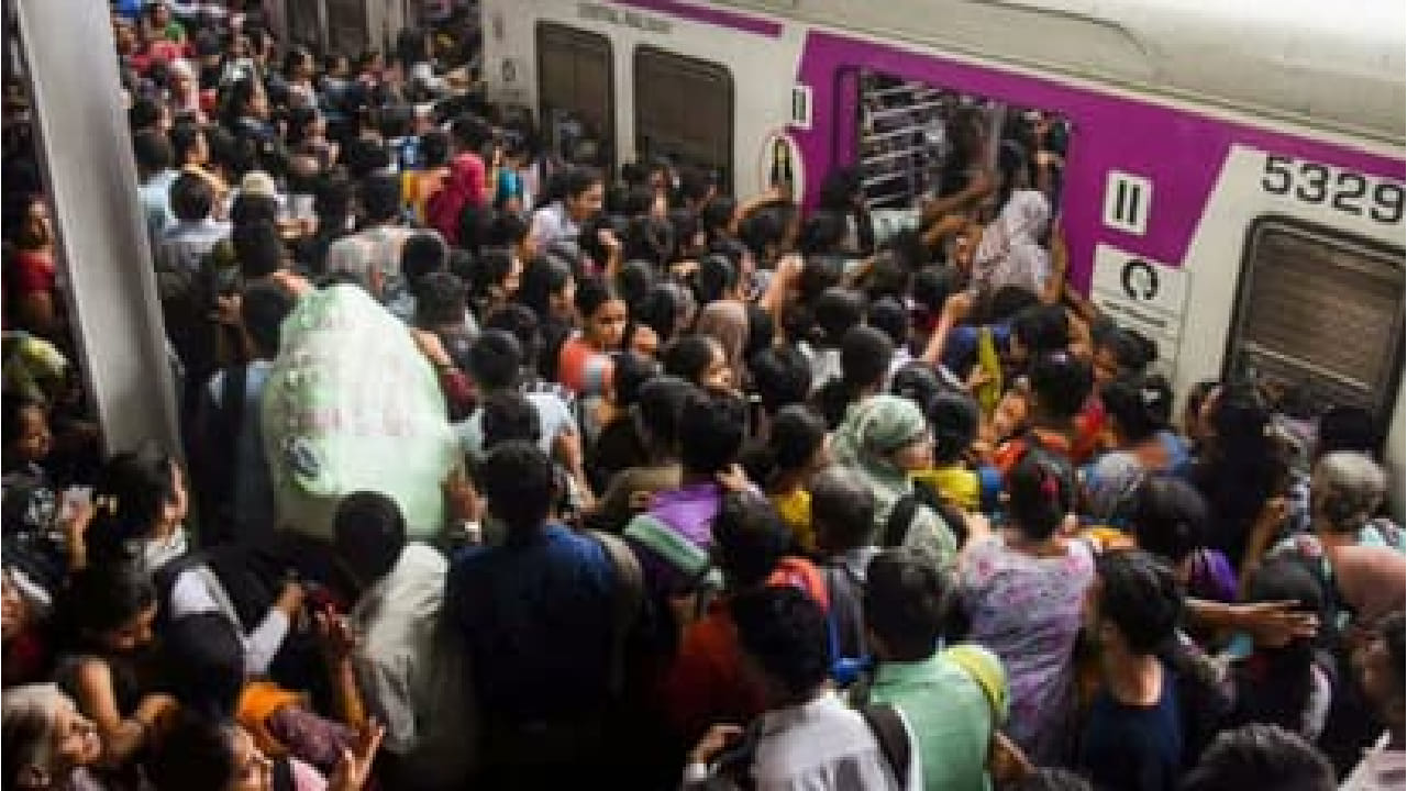 ब्लॉकमुळे काही स्थानिक गाड्यांवर परिणाम होणार आहे. छत्रपती शिवाजी महाराज टर्मिनस- ठाणे ही लोकल 15 फेब्रुवारी रोजी CSMT येथून रात्री 12.24 वाजता सुटणारी लोकल रद्द करण्यात आली आहे. ठाणे – CSMT ही लोकल 15 फेब्रुवारी रोजी पहाटे 4.04 वाजता ठाणे येथून सुटणारी लोकलही रद्द राहील.