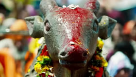 975 मिलियन व्ह्यूज, 8 वर्षांपासून प्रेक्षकांचं प्रचंड आवडतं गाणं.