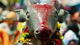 975 मिलियन व्ह्यूज, 8 वर्षांपासून प्रेक्षकांचं प्रचंड आवडतं गाणं, आजही प्रत्येकाच्या प्लेलिस्टमध्ये सर्वात प्रथम