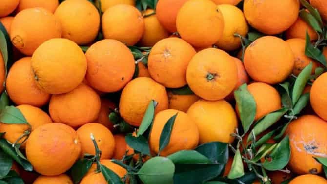 किन्नू खाल्ल्यामुळे आरोग्य राहिल निरोगी.... जाणून घ्या फायदे