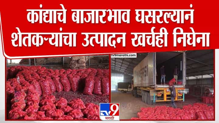 कांद्याचे भाव घसरले; उत्पादन खर्चही निघेना! शेतकरी हवालदिल कांद्याचे भाव घसरले; उत्पादन खर्चही निघेना! शेतकरी हवालदिल