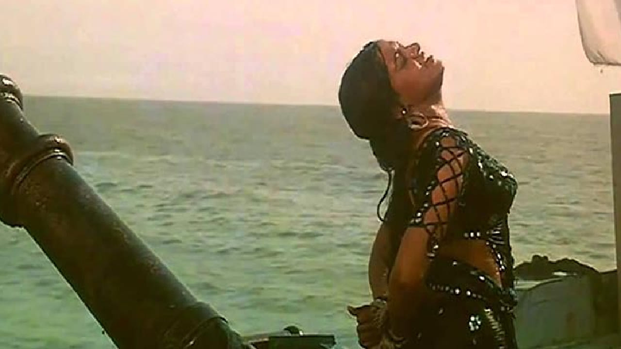 त्या काळात सुमारे 3 कोटी रुपयांच्या बजेटमध्ये बनलेल्या या चित्रपटाने प्रदर्शित होताच 16 कोटी रुपयांहून अधिक कमाई केली आणि सुपरहिट ठरला.