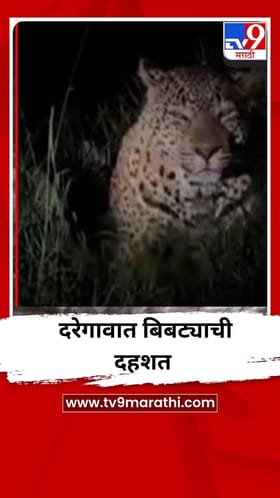 चाळीसगाव तालुक्यातील दरेगावात बिबट्याची दहशत.