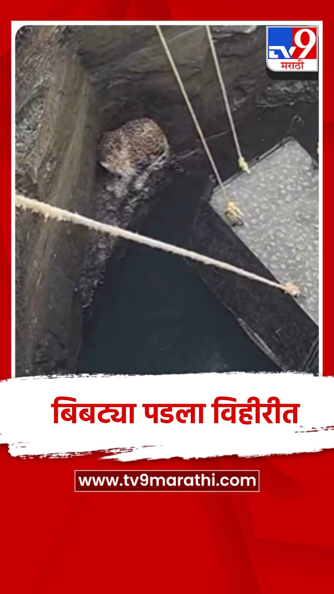 दिंडोरीत भक्षाचा पाठलाग करतांना विहीरीत पडला बिबट्या