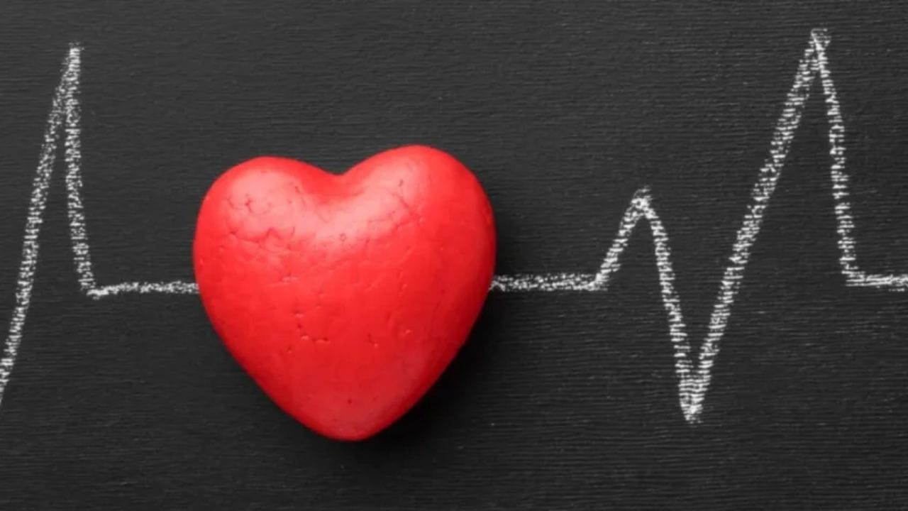 हृदयाच्या आरोग्याची काळजी घेणे खूपच महत्वाचे असते.आहारतज्ज्ञांनी यासंदर्भात महत्वाचा सल्ला दिला आहे. काय - काय खावे आणि हृदयास कसे निरोगी राखावे याच्या टिप्स प्रत्यक्ष आहारतज्ज्ञांकडून जाणून घ्या 