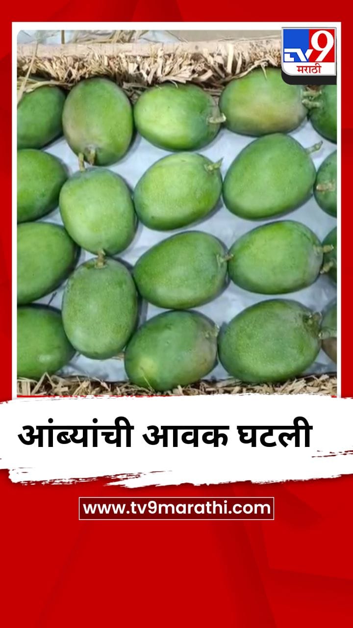 आंब्याची आवक घटली, केवळ 100 पेट्याच दाखल