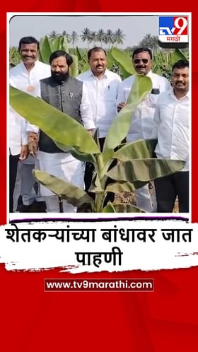 Solapur: मंत्री भरत गोगावलेंकडून केळी पिकाची पाहणी.