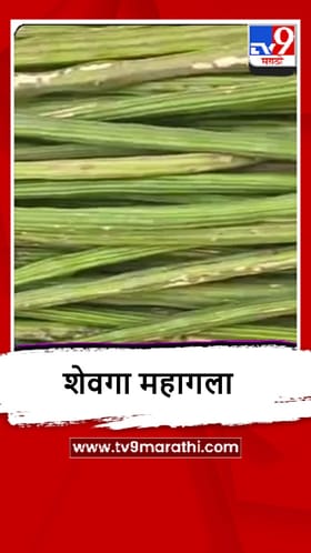 Buldhana : लहरी हवामानाचा शेवगाला फटका, दर गगनाला भिडले.